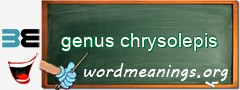 WordMeaning blackboard for genus chrysolepis